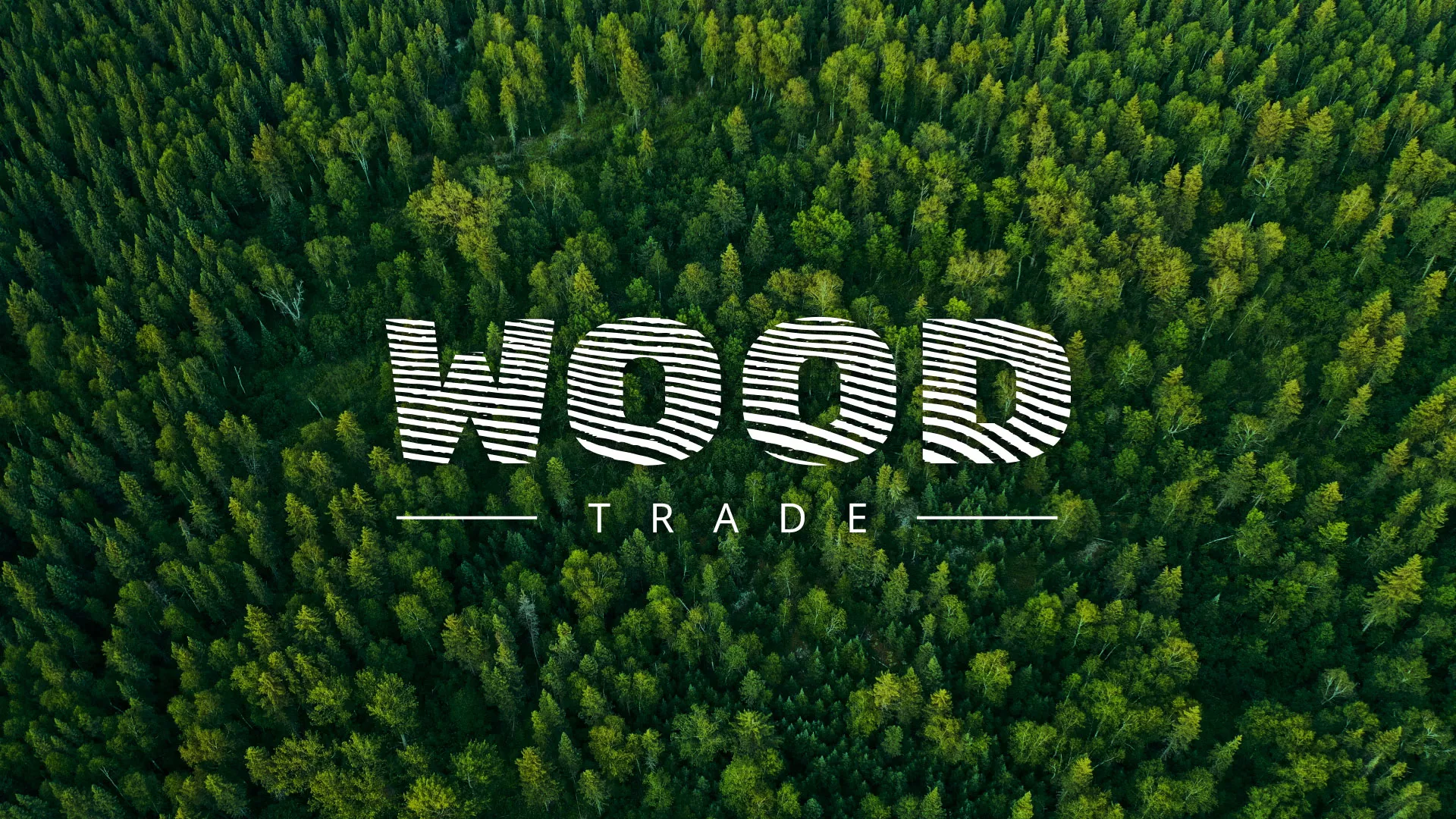 Разработка интернет-магазина компании «Wood Trade» в Братске